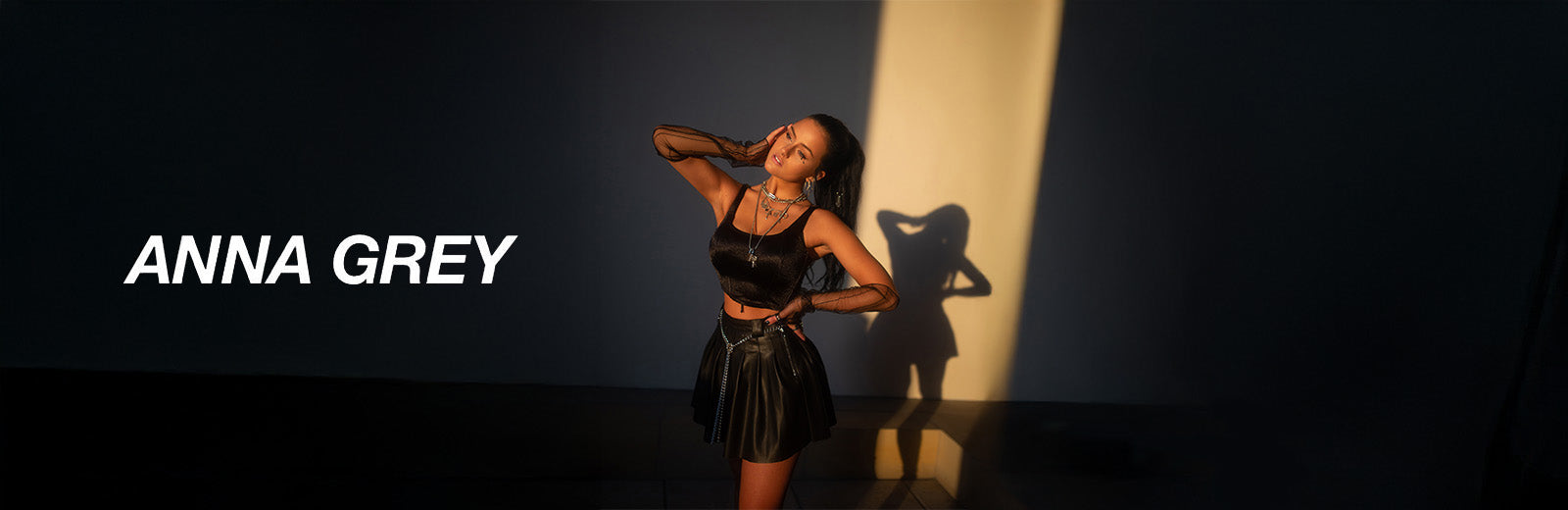 Anna Grey Banner
