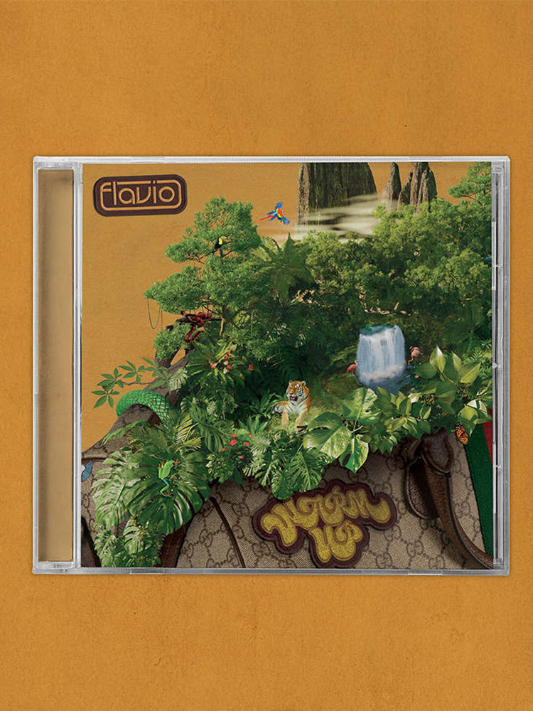 Flavio - Warm Up (Ltd. Hoodie & Sturmhaube Bundle)