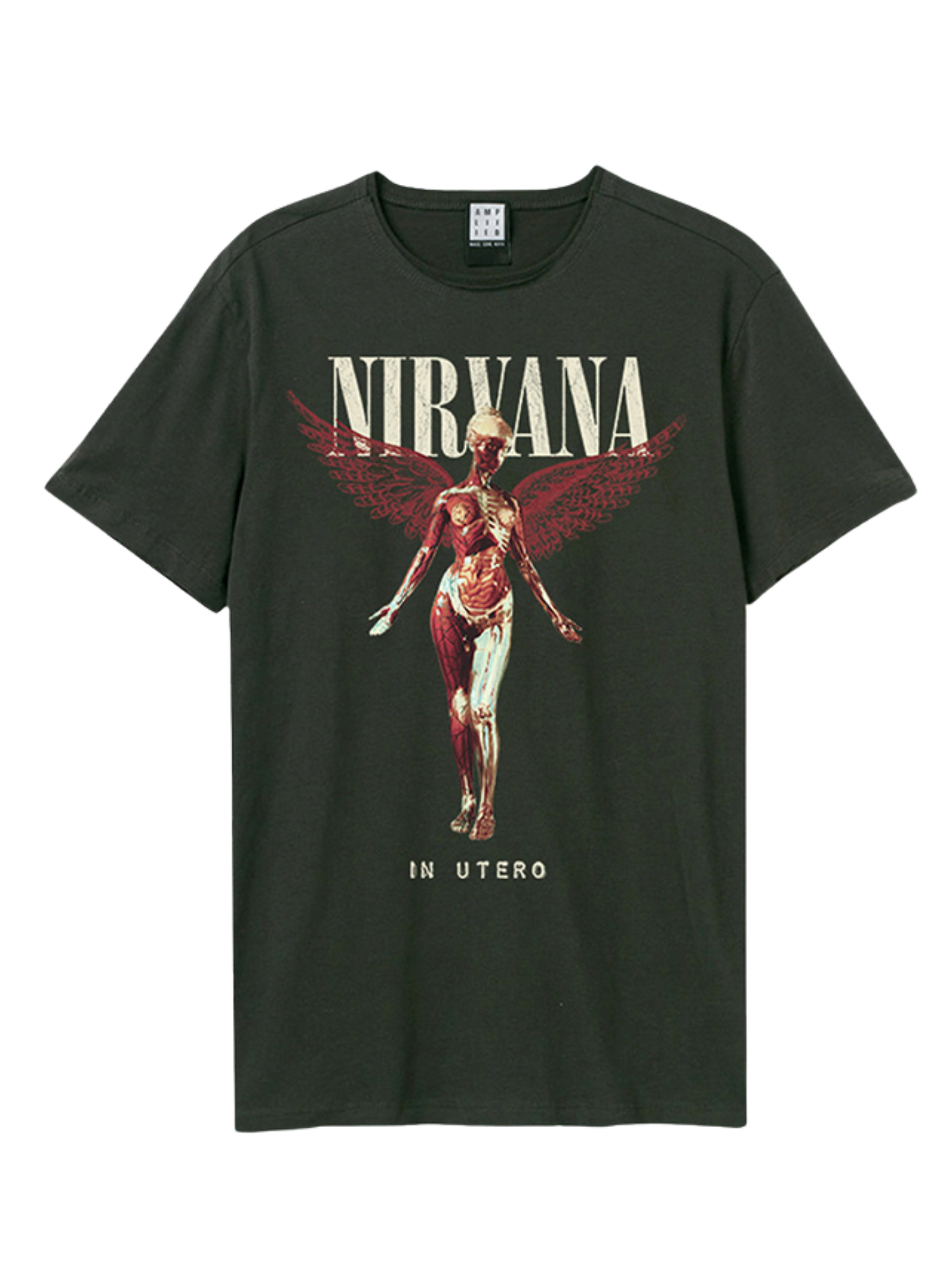 Nirvana In Utero Colour