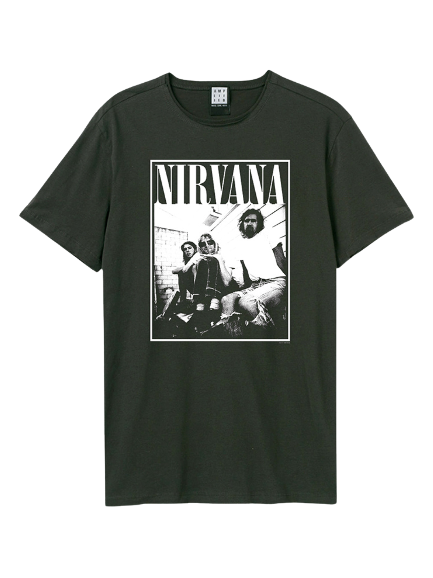Nirvana Group Shot